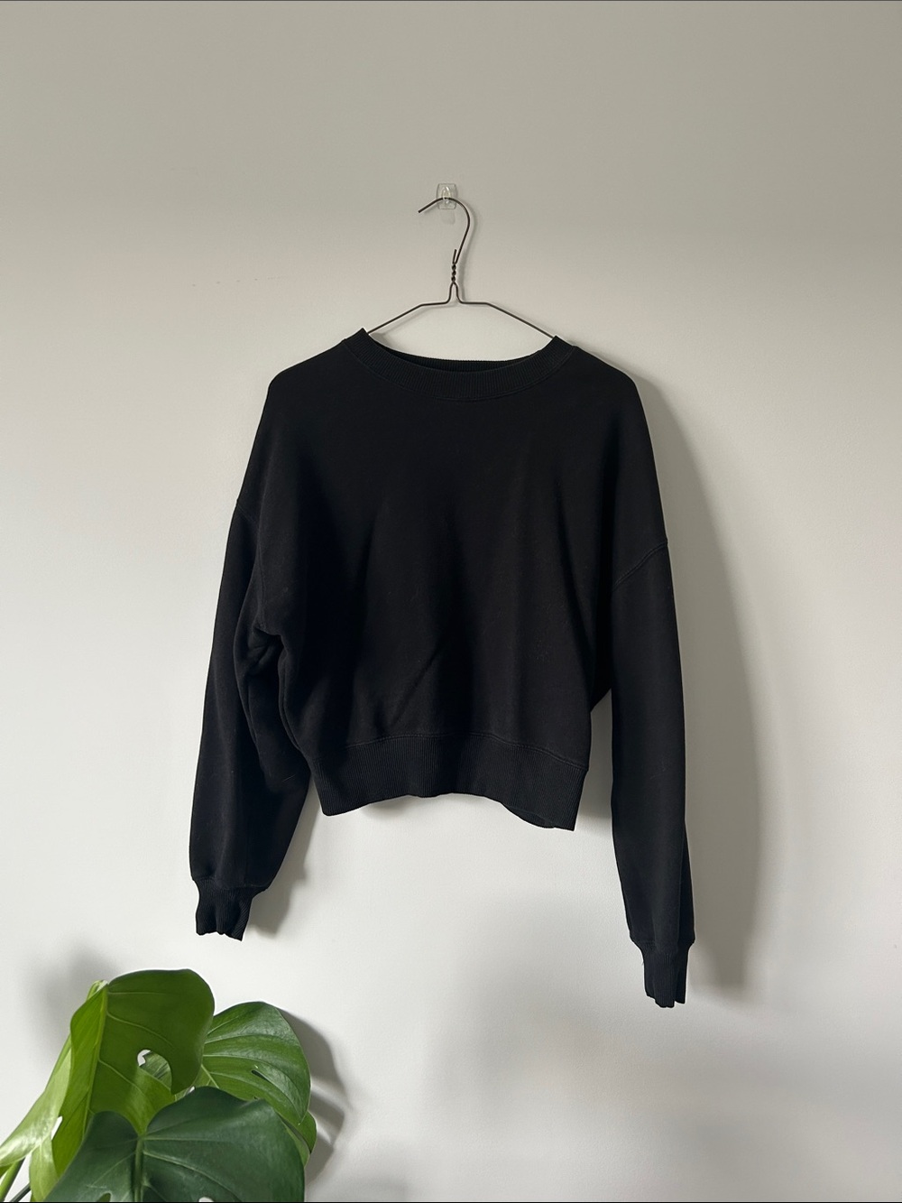 Dynamite Luxe Lounge Crewneck Sweatshirt